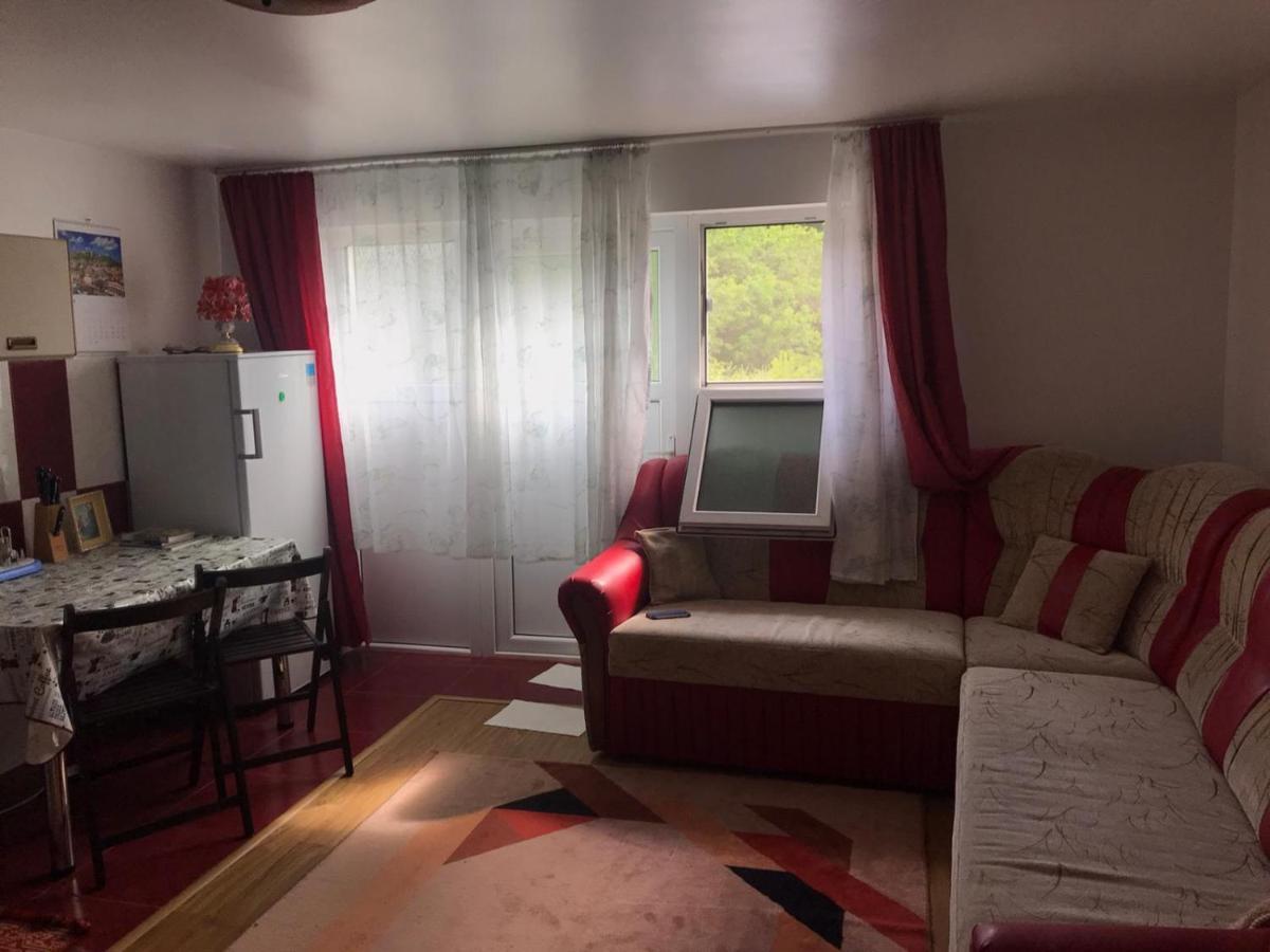 Garsoniera Lazaroiu Lägenhet Băile Govora Exteriör bild
